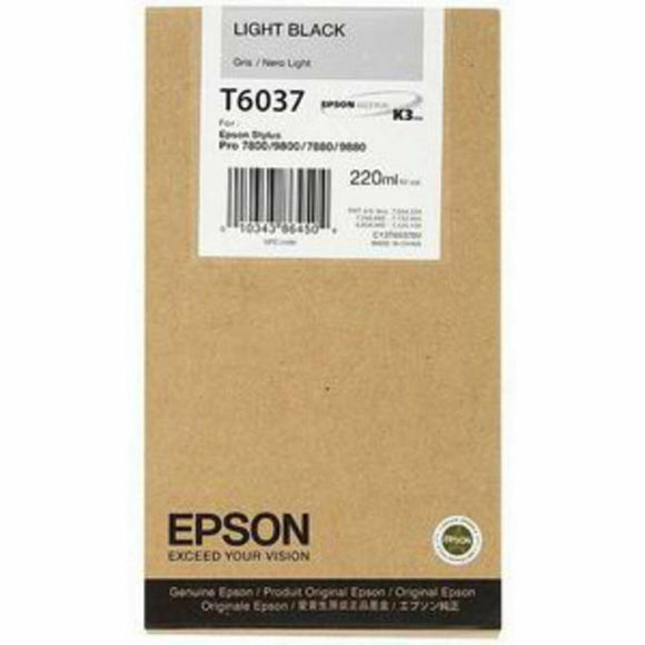 Original Ink Cartridge Epson C13T603700 Black-0