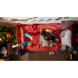 Nintendo Switch Lite Nintendo Switch Lite Blue-5