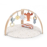 Play mat Ingenuity Wood Cloth-1