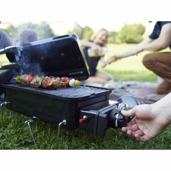 Barbecue Weber Go-anywhere Enamelled Steel-10