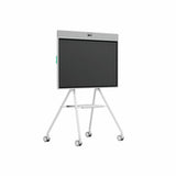 Webcam Logitech 952-000251-2