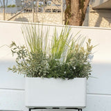 Self-watering planter Deroma Pearl 78 x 38 x 39 cm Plastic Rectangular Ø 78 cm-1