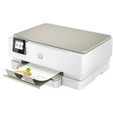 Printer HP 242P6B V2-0