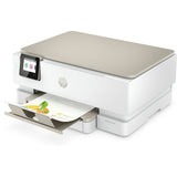 Printer HP 242P6B V2-12