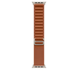 Watch Strap Apple MFTC4ZM/A M-4