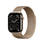 Smartwatch Apple Titanium-13