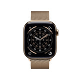 Smartwatch Apple Titanium-12