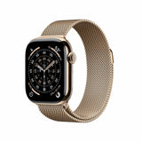 Smartwatch Apple Titanium-11