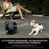 Table Fan Shark Grey-1