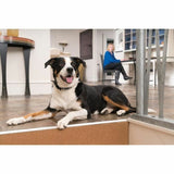 Anti-bark collar PetSafe Blue-1