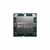 Processor AMD 100-100000591WOF AMD Ryzen 7 7700X AMD AM5-1