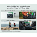 Uninterruptible Power Supply System Interactive UPS APC PPS730-GR Black Green 700 W-9