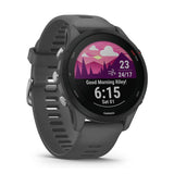 Smartwatch GARMIN Forerunner 255 Grey 1,3" 46 mm-28