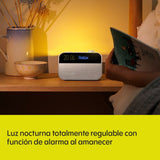 Clock-Radio Pure PURE MOMENT-1