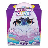 Playset Spin Master Draggle Hatchimals Alive Secret Hatch-1
