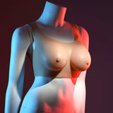 Breast prostheses Gender X-2