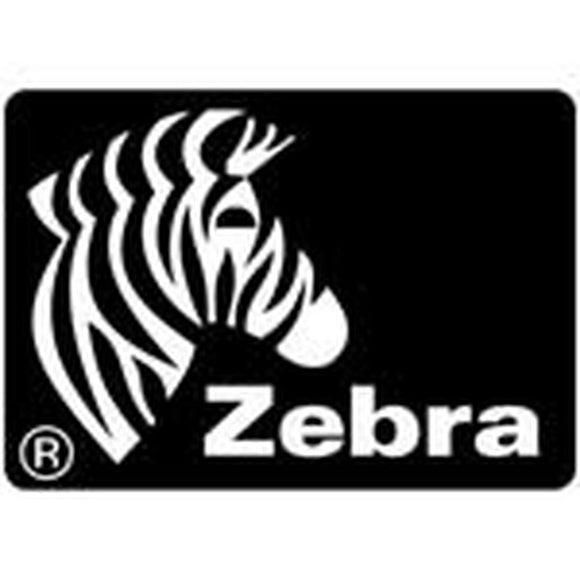 Printer Labels Zebra 880269-025D Silver Ø 25 mm (12 Units)-0