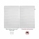 Duvet Abeil 4 Seasons Anti-dust mite 240 x 260 cm 300 g/m²-2