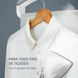 Steam Iron Rowenta-6