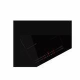 Induction Hot Plate Fagor-2