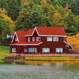 Primer Paint Bondex rouge Satin finish 5 L-3