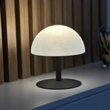 Desk lamp Lumisky Neptune Rock Dark grey Plastic-2