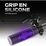 Electric Scooter Urbanglide-1