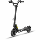 Electric Scooter Dualtron TOGO Black 25 km/h 600 W-2