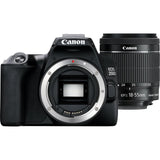 Reflex camera Canon EOS 250D + EF-S 18-55mm f/3.5-5.6 III-6