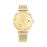 Ladies' Watch Tommy Hilfiger 1782606 Golden (Ø 35 mm)-0