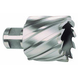 Hollow drill bit RUKO ø 54 mm Weldon-1