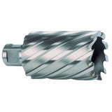 Hollow drill bit RUKO 53 mm Weldon-1