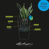 Plant pot Lechuza 40 x 40 x 75 cm Plastic Squared-2