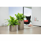 Plant pot Lechuza 40 x 40 x 76 cm polypropylene Rectangular-1