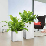 Self-watering flowerpot Lechuza Silver 40 x 40 x 76 cm Plastic-1