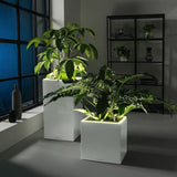 Plant pot Lechuza 76 x 40 x 10 cm White (1 Unit)-1