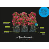 Self-watering flowerpot Lechuza Black 100 x 32,5 x 34,5 cm Rectangular-2