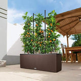 Self-watering planter Lechuza TRIO Cottage Black polypropylene 100 x 32,5 x 34,5 cm-3