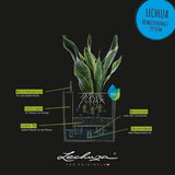 Plant pot Lechuza 50 x 50 x 50 cm Plastic-2