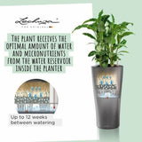 Plant pot Lechuza 40 x 40 x 76 cm metal polypropylene Plastic-1