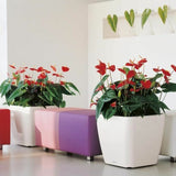 Plant pot Lechuza Ø 50 cm Plastic Rectangular-2