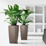 Plant pot Lechuza 50 x 50 x 95 cm Plastic Rectangular-2