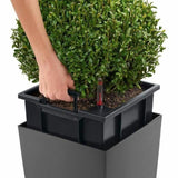 Self-watering flowerpot Lechuza Anthracite 39,5 x 39,5 x 75,5 cm polypropylene Plastic-4