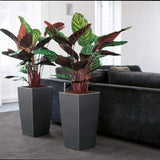 Self-watering flowerpot Lechuza Anthracite 39,5 x 39,5 x 75,5 cm polypropylene Plastic-2