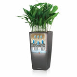 Self-watering flowerpot Lechuza Brown 39,5 x 39,5 x 75,5 cm Plastic Rectangular-2