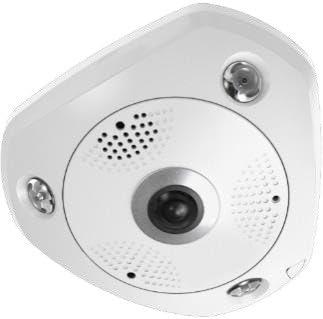 LevelOne IPCam FCS-3095 Dome In 12MP H.265 12W PoE-0