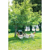 Safety net Kerbl 25 m Chicken-2