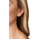 Ladies' Earrings Michael Kors MKC1569AN791-1
