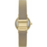 Ladies' Watch Skagen SKW3084-3