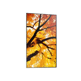 Videowall Monitor Sharp 60006053 4K Ultra HD 42,5"-9